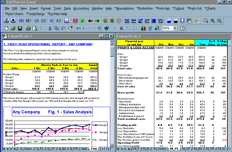 Planning, Budgeting, Forecasting & Financial Report Writing