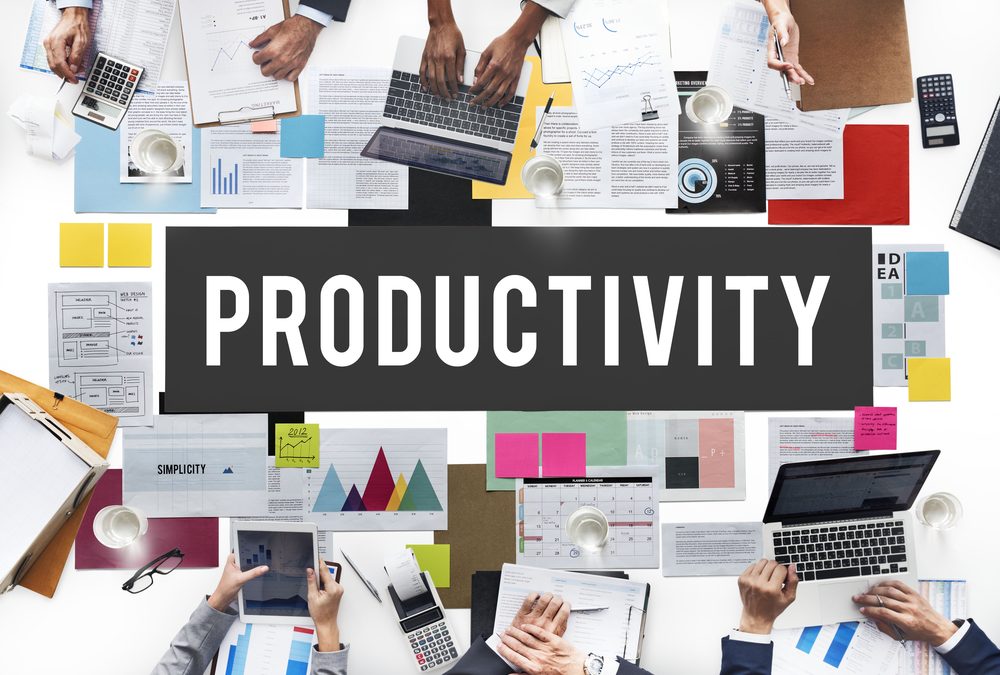 Performance and Productivity Management